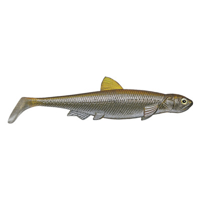 Evergreen Last Ace 140 Swimbait Ayu