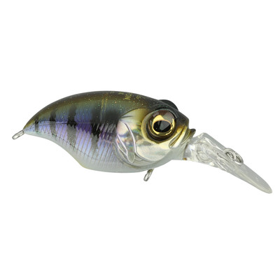 Megabass BFS MR-X Griffon Gillkko