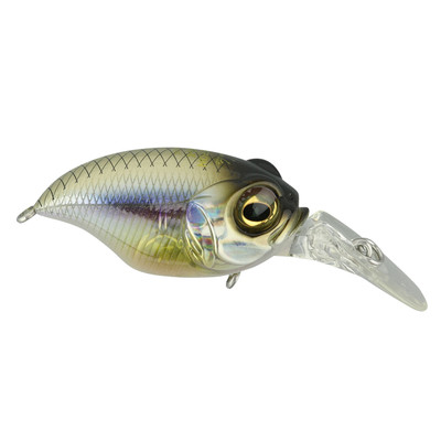 Megabass BFS MR-X Griffon Kasumi ITO