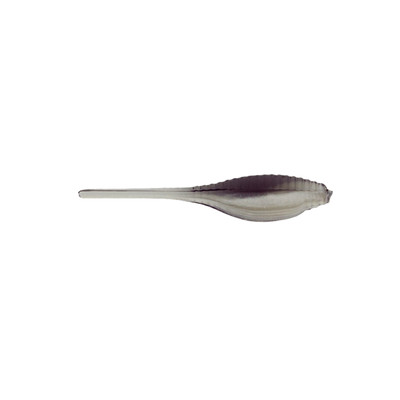 Panfish Assassin 2" Pro Tiny Shad Black Shad