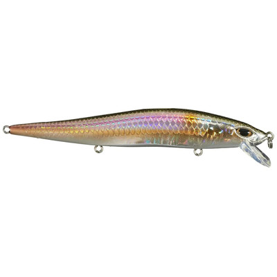 Duckett Fishing Reveal FFS Sinking Jerkbait American Shad