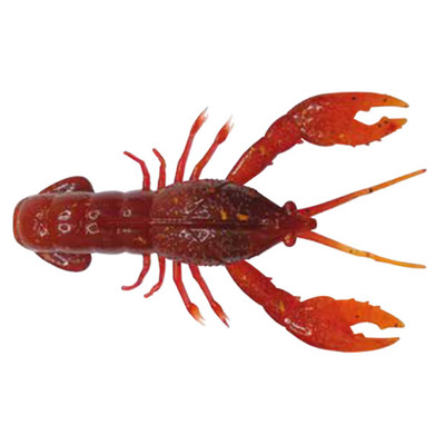 Nikko Craw Magma