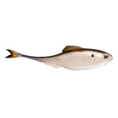 6th Sense Fiction Shad 4K Shad