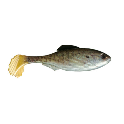 6th Sense Panorama Swimbait Live Baby Crappie