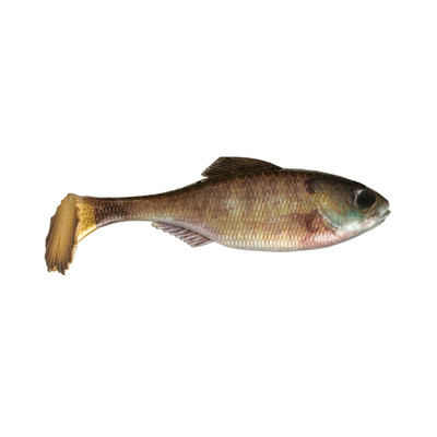 6th Sense Panorama Swimbait Live Bluegill