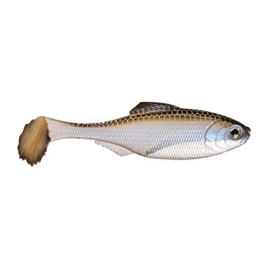 6th Sense Panorama Swimbait Blue Shiner