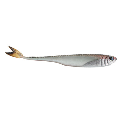 6th Sense Strobe Minnow Ghost Pro Shiner