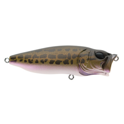 Megabass Popmax Topwater Lure Pagani Raigyo