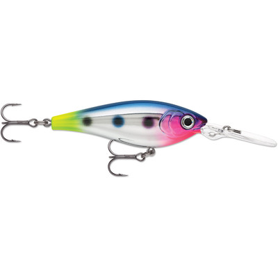 Rapala Harvest Shad Crankbait Chrome Blue Hot Tail