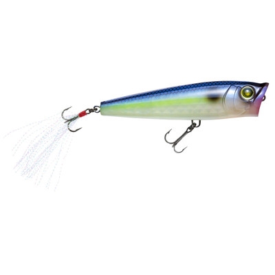 Yo-Zuri 3DR-X Popper Topwater Bait Ghost Sexy Shad