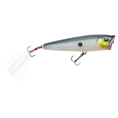Yo-Zuri 3DR-X Popper Topwater Bait Matte Green Gizzard Shad