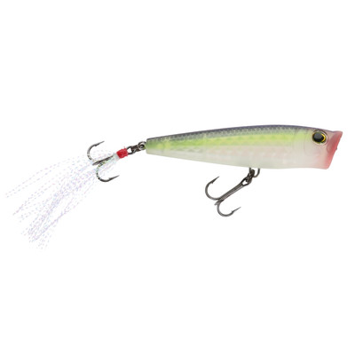 Yo-Zuri 3DR-X Popper Topwater Bait Matte Ghost Sexy Shad