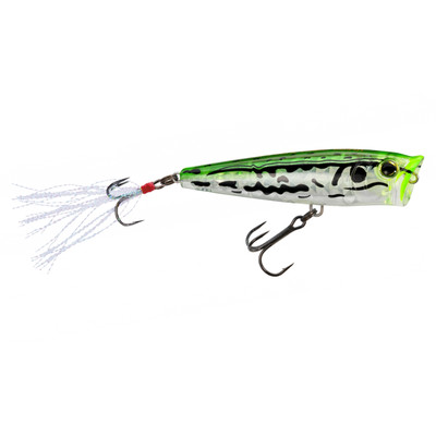 Yo-Zuri 3DR-X Popper Topwater Bait Ghost Frog