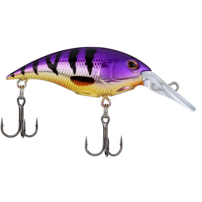 Berkley Money Badger Crankbait Viking Perch