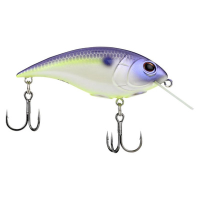 Berkley Shallow Money Badger Crankbait Purple Glimmer