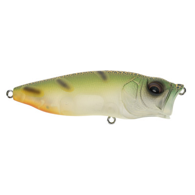 Megabass Popmax Topwater Lure CMF