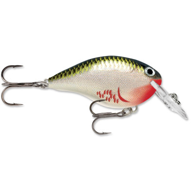 Rapala DT Dives-To Crankbait Bleeding Olive Shiner