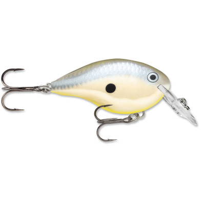 Rapala DT Dives-To Crankbait Disco Shad