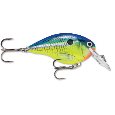 Rapala DT Dives-To Crankbait Parrot