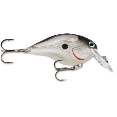 Rapala DT Dives-To Crankbait Silver