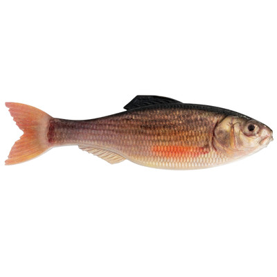6th Sense Panorama Softbait Live Shiner