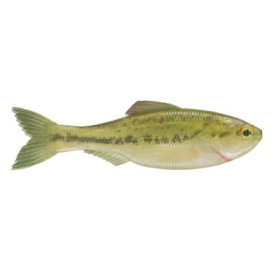 6th Sense Plump Panorama Softbait | FishUSA