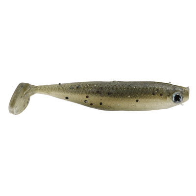 Food Chain Foundation Minnow Mud Minnow