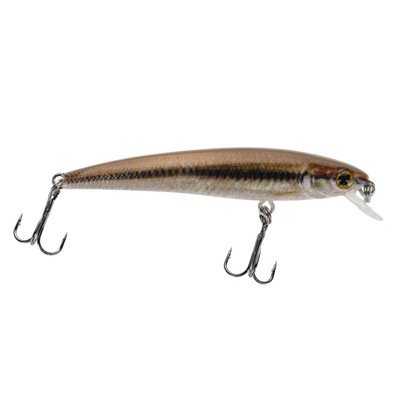 Max4 Micro Minnow Black Nose Dace