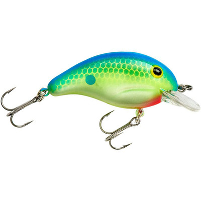 Bandit 100 Series Crankbait Citrus Shad