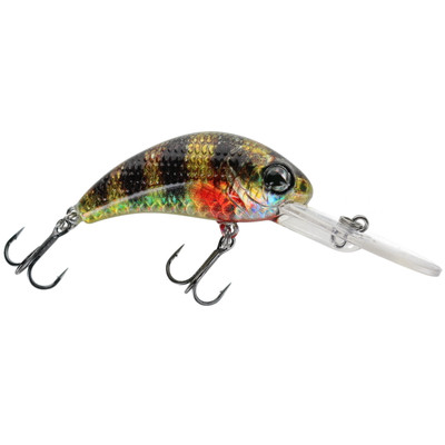 Walleye Nation Creations Boogie Shad Crankbait Custom Color - Savage Perch