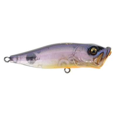 Megabass Pop-X Respect Series - GP Kikyou