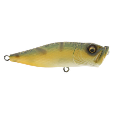 Megabass Pop-X CMF