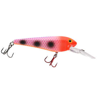 Ice Strong Killer Fish Rattling Deep Divers Crazy Town UV