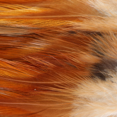 Wapsi Strung Rooster Saddles Natural Brown