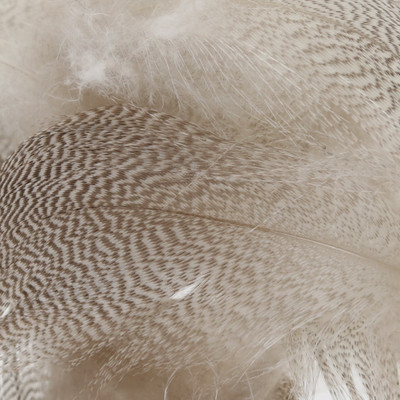 Wapsi Mallard Flank Feathers Natural