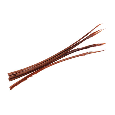 Wapsi Turkey Biots Rusty Brown