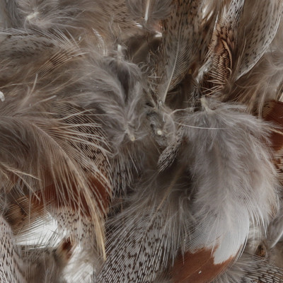 Wapsi Loose Partridge Feathers Natural Gray