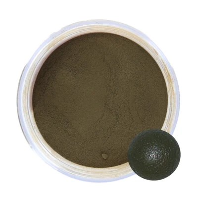 CS Coatings Pro-Tec Powder Paint Matte Green Pumpkin