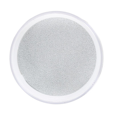 CS Coatings Pro-Tec Powder Paint Disco Silver