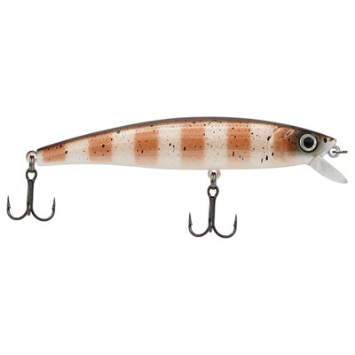 Challenger Junior Minnow Dirty Goby