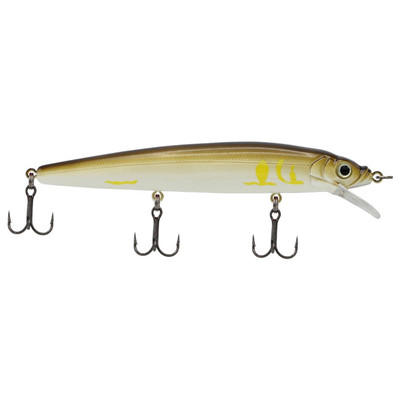 Challenger Minnow Ayu