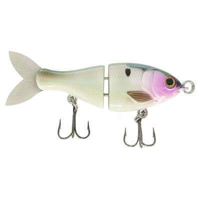 Bucca Brand BFS Trick Shad Glide Bait Gizzard Magic