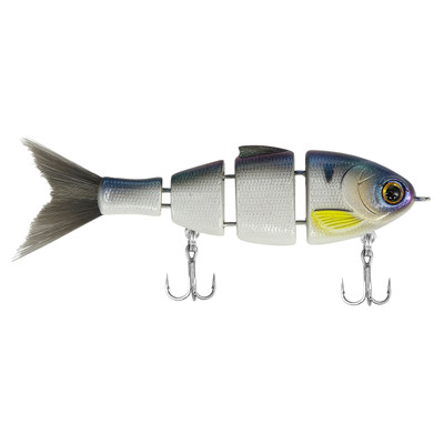 Bucca Brand Lil Baby Bull Shad Swim Bait Threadfintastic