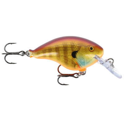Rapala DT Dives-To Crankbait Exclusive Color - Purple Sungill