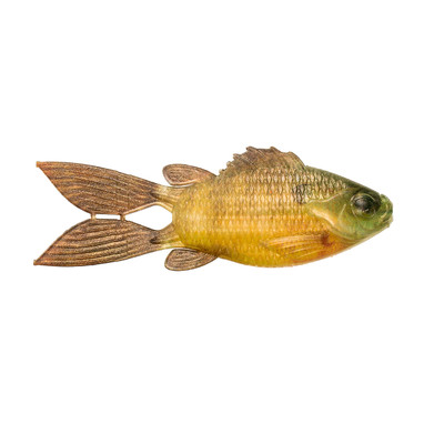 6th Sense FlipGill Soft Bait Live Bluegill