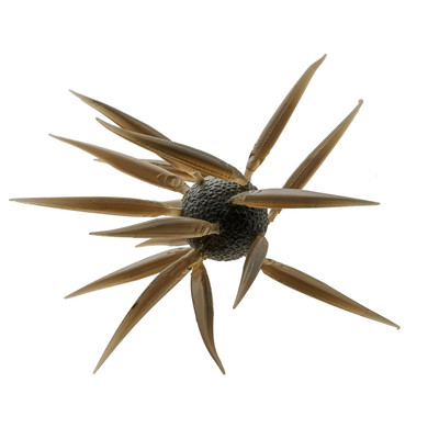 Hideup Coike Fish Elastomer L Creature Bait Clear Brown