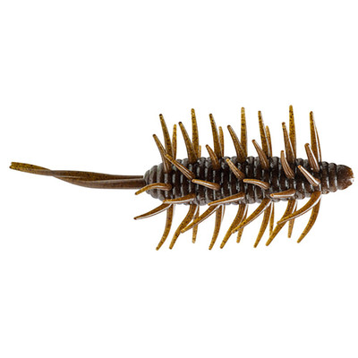 Hideup Coike Magnum Shrimp Green Pumpkin