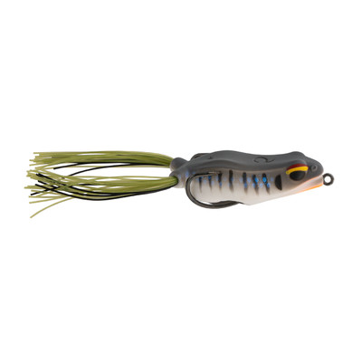 6th Sense Vega Hush Frog Gill Fest