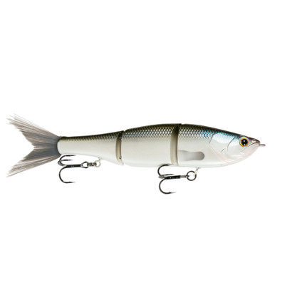 6th Sense Speed Draw 5.5 Swimbait Live Blueback Herring