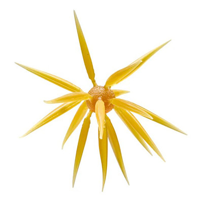 Hideup Coike Fish Elastomer M Urchin Bait Kuririn Kintoki